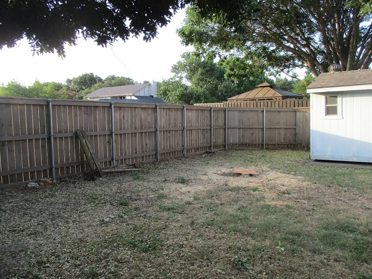 Cleared yard after professional tree removal in Haddon Heights