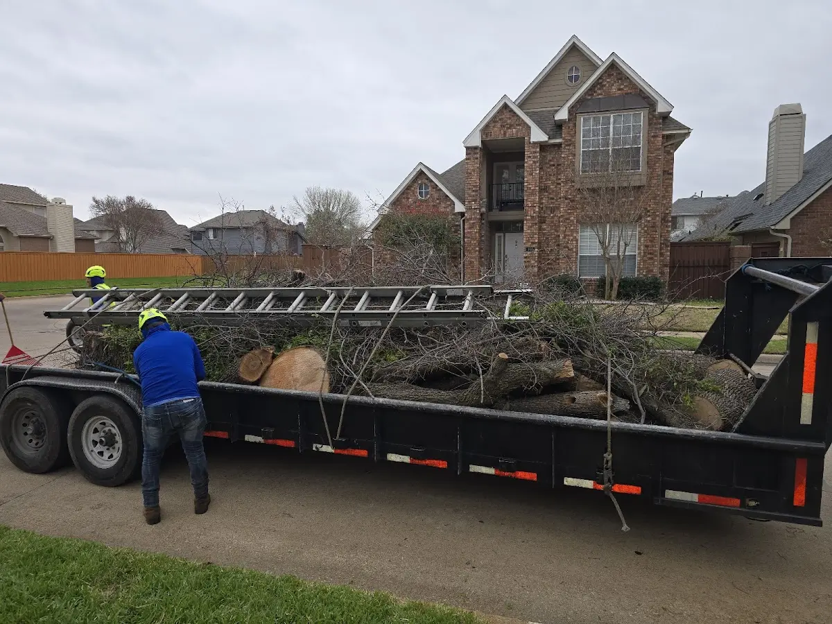 Expert Lot Clearing with proper safety equipment in Haddon Heights